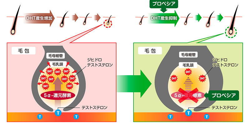 治療薬の作用機序