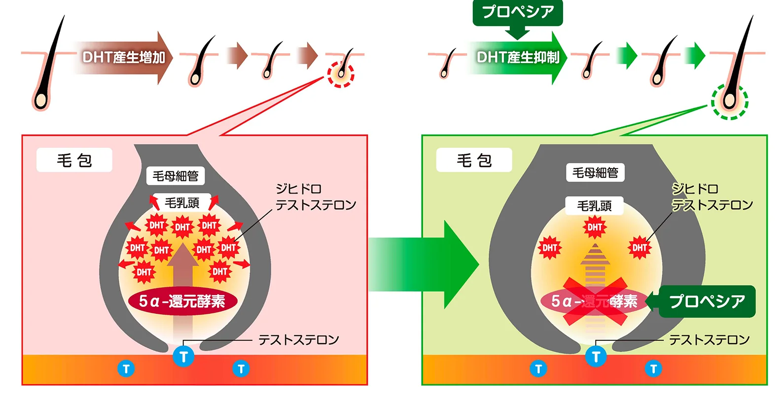 治療薬の作用機序