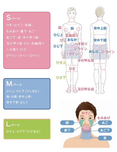 男性料金にも使用する対象部位イメージ