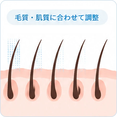 山口でジェントルマックスプロプラスを導入し、メンズ医療脱毛（ヒゲ脱毛）を提供している あんの循環器・総合クリニックの2種類のレーザーと毛質の説明図